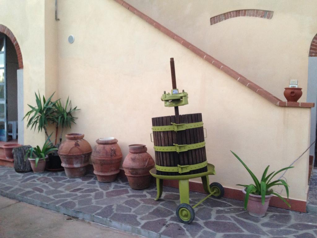 Podere Di Valli Santa Maria a Monte Dış mekan fotoğraf