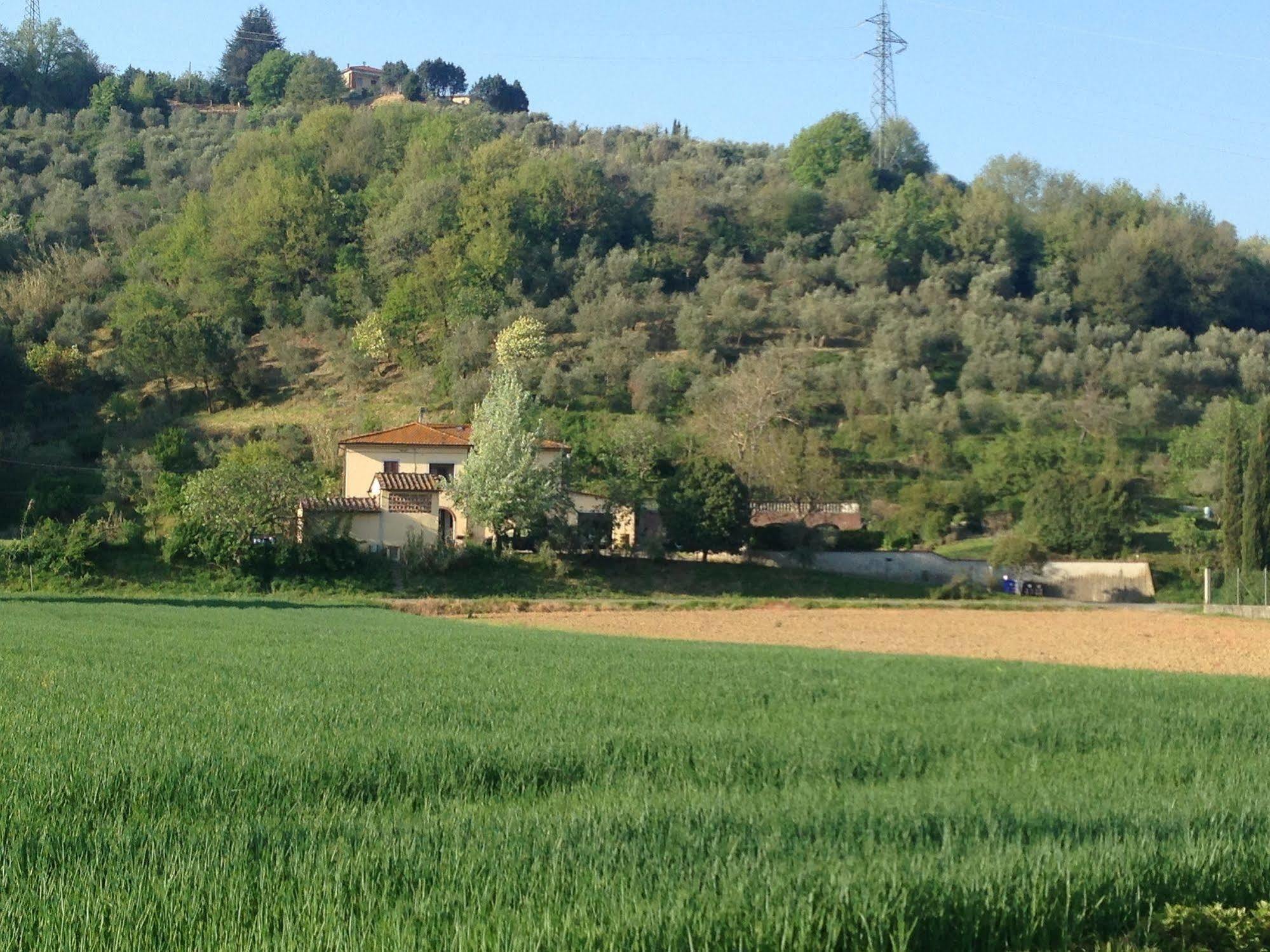 Podere Di Valli Santa Maria a Monte Dış mekan fotoğraf